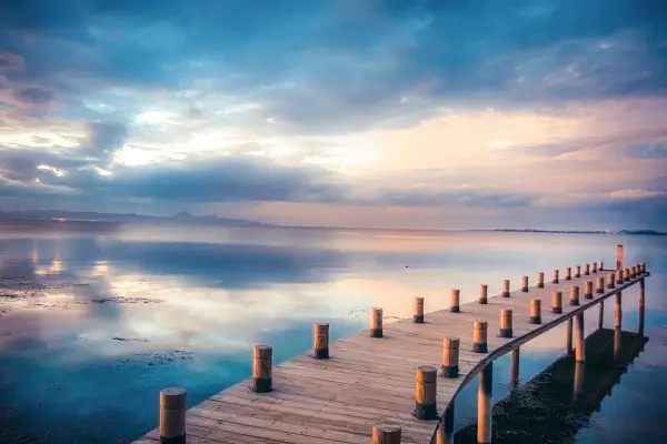 关于毛驴的的含义