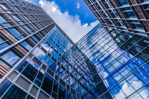 胖虎含义大全女生